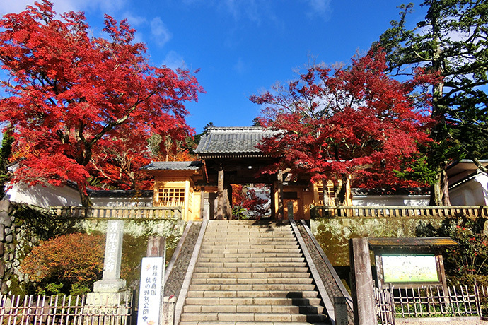 <东京六天游>广州往返日本东京富士山+伊豆半自助6天5晚跟团游、安排一天自由活动